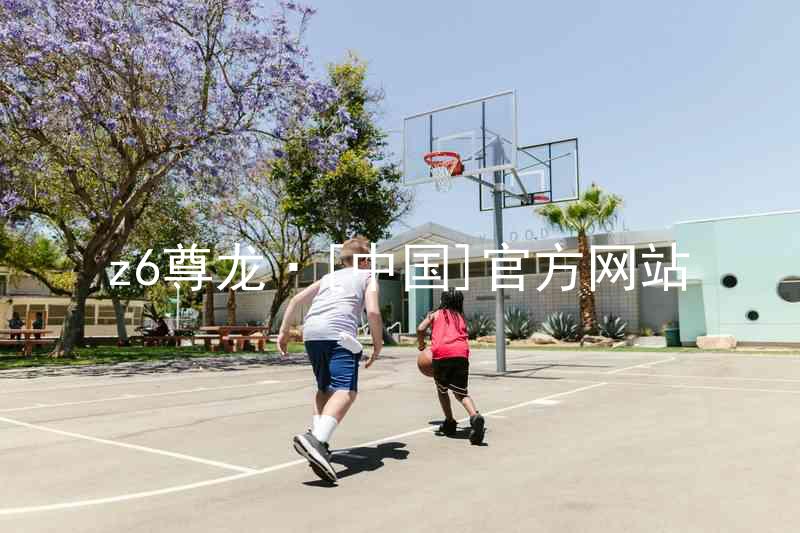 z6尊龙·[中国]官方网站